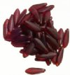 50 5x16mm Matte Transparent Garnet Dagger Beads